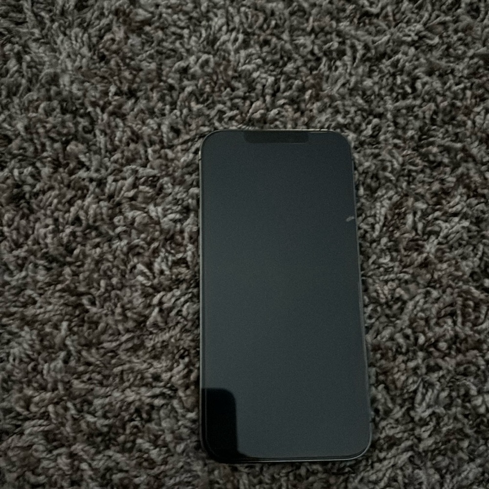 Its the iphone 12 pro max